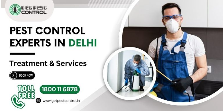 Pest Control in Delhi – Safe, Affordable, Guaranteed | Get Pest Control